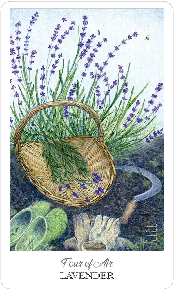 The Herbcrafter’s Tarot Cards